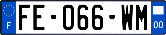 FE-066-WM