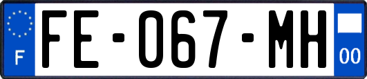 FE-067-MH