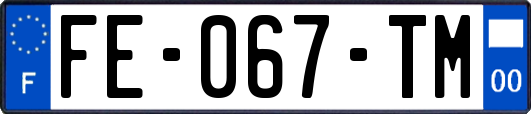 FE-067-TM