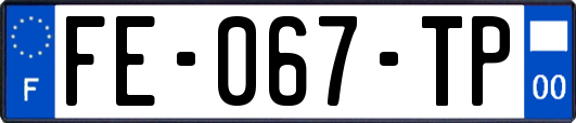 FE-067-TP