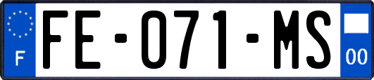 FE-071-MS
