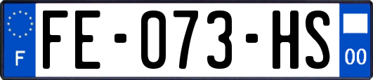 FE-073-HS