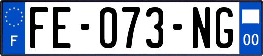 FE-073-NG