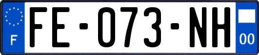 FE-073-NH