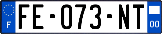 FE-073-NT