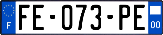 FE-073-PE