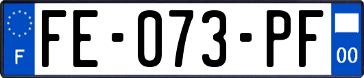 FE-073-PF