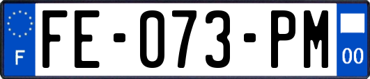 FE-073-PM