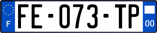 FE-073-TP