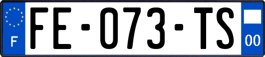 FE-073-TS