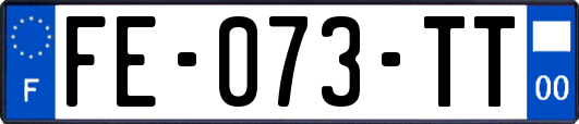FE-073-TT