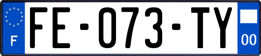 FE-073-TY