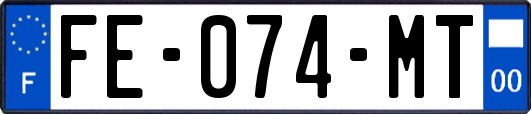 FE-074-MT