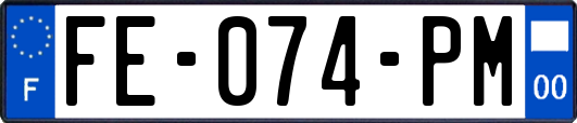 FE-074-PM