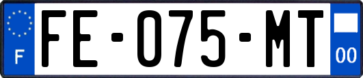 FE-075-MT