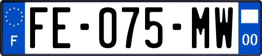 FE-075-MW