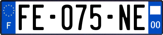 FE-075-NE
