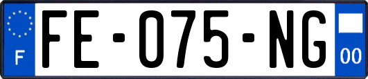 FE-075-NG