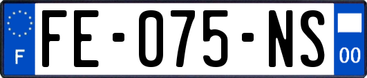 FE-075-NS