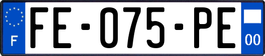 FE-075-PE