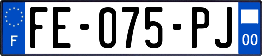 FE-075-PJ