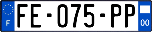 FE-075-PP