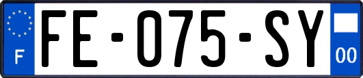 FE-075-SY