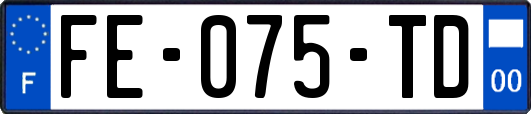FE-075-TD
