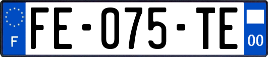 FE-075-TE