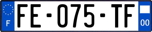 FE-075-TF