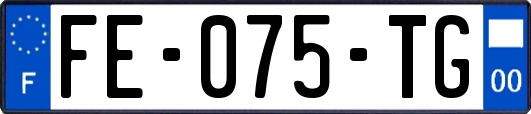 FE-075-TG