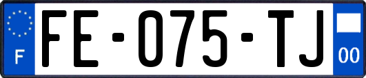FE-075-TJ