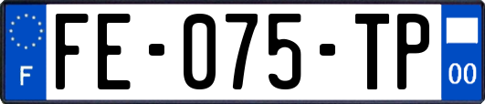 FE-075-TP