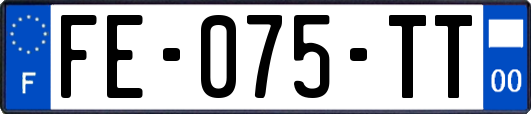 FE-075-TT