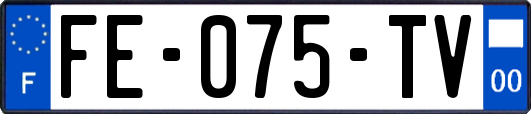 FE-075-TV