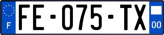 FE-075-TX