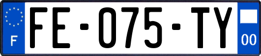 FE-075-TY