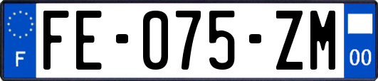 FE-075-ZM