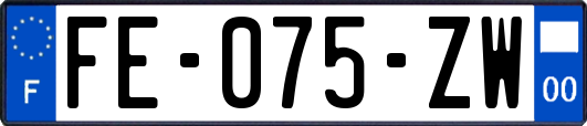 FE-075-ZW