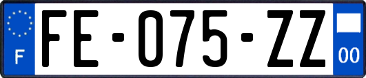 FE-075-ZZ