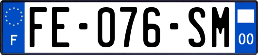 FE-076-SM
