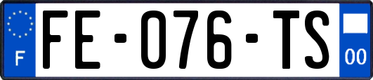 FE-076-TS
