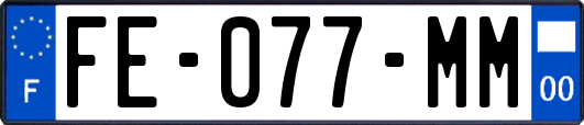 FE-077-MM