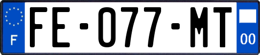 FE-077-MT