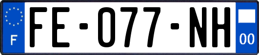 FE-077-NH