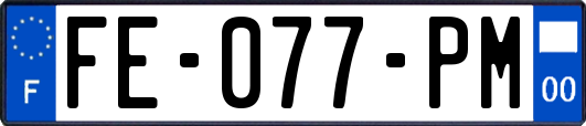 FE-077-PM