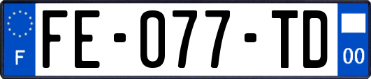 FE-077-TD