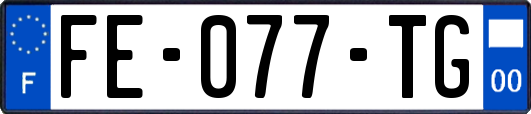 FE-077-TG