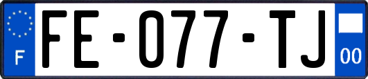 FE-077-TJ