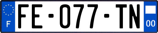 FE-077-TN